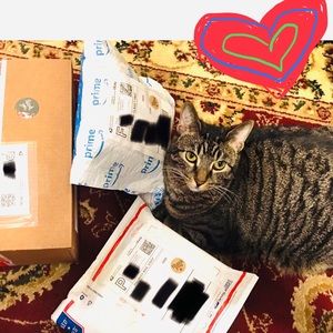 ❤️😻🐈 My Posh Helper 🐈❤️😻